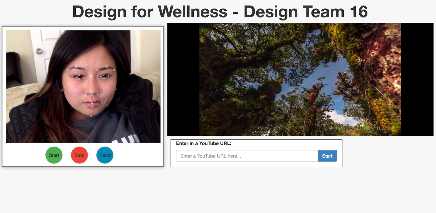 Wellbeing